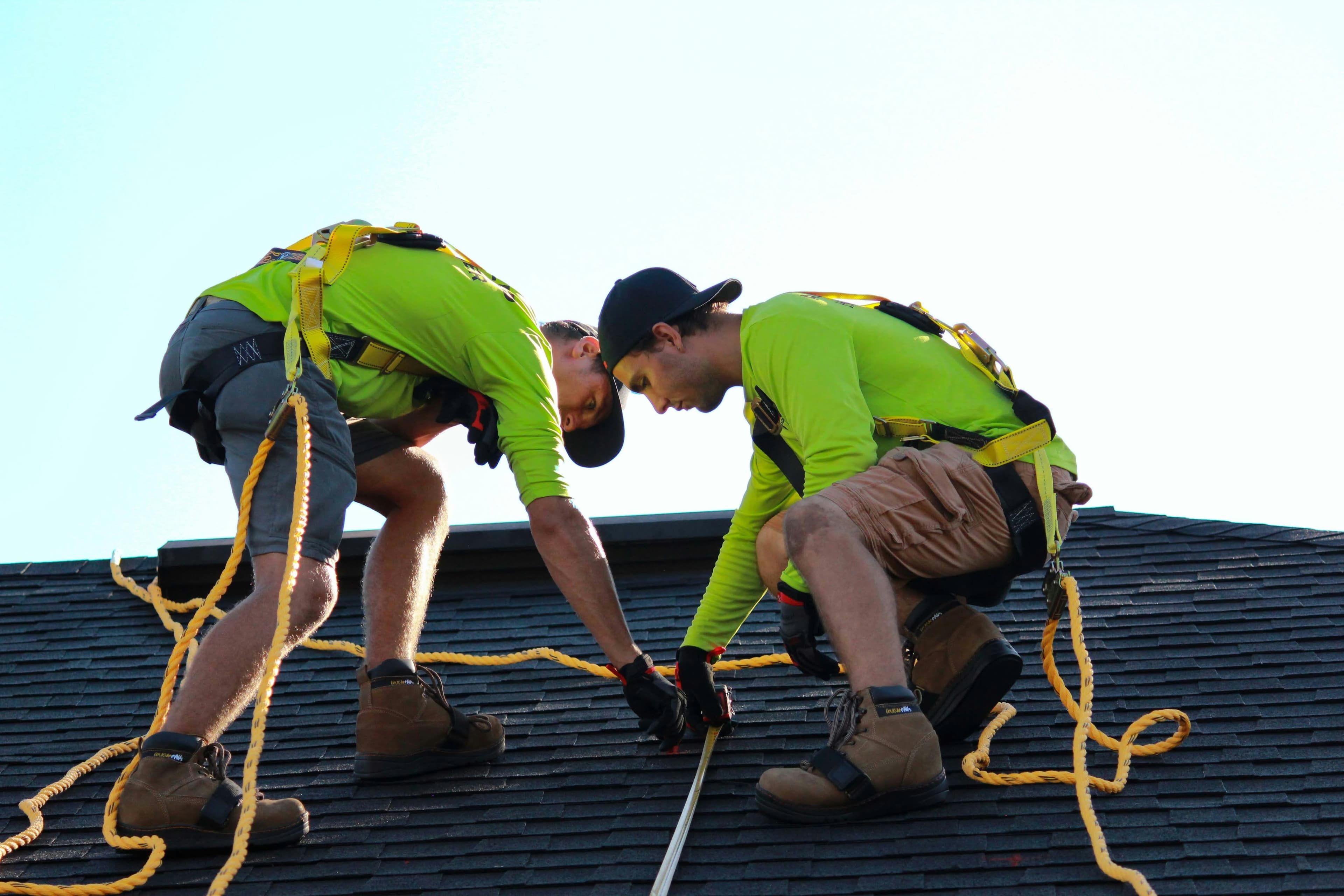 Two harnessed roofing technicians measuring and inspecting an asphalt shingle roof